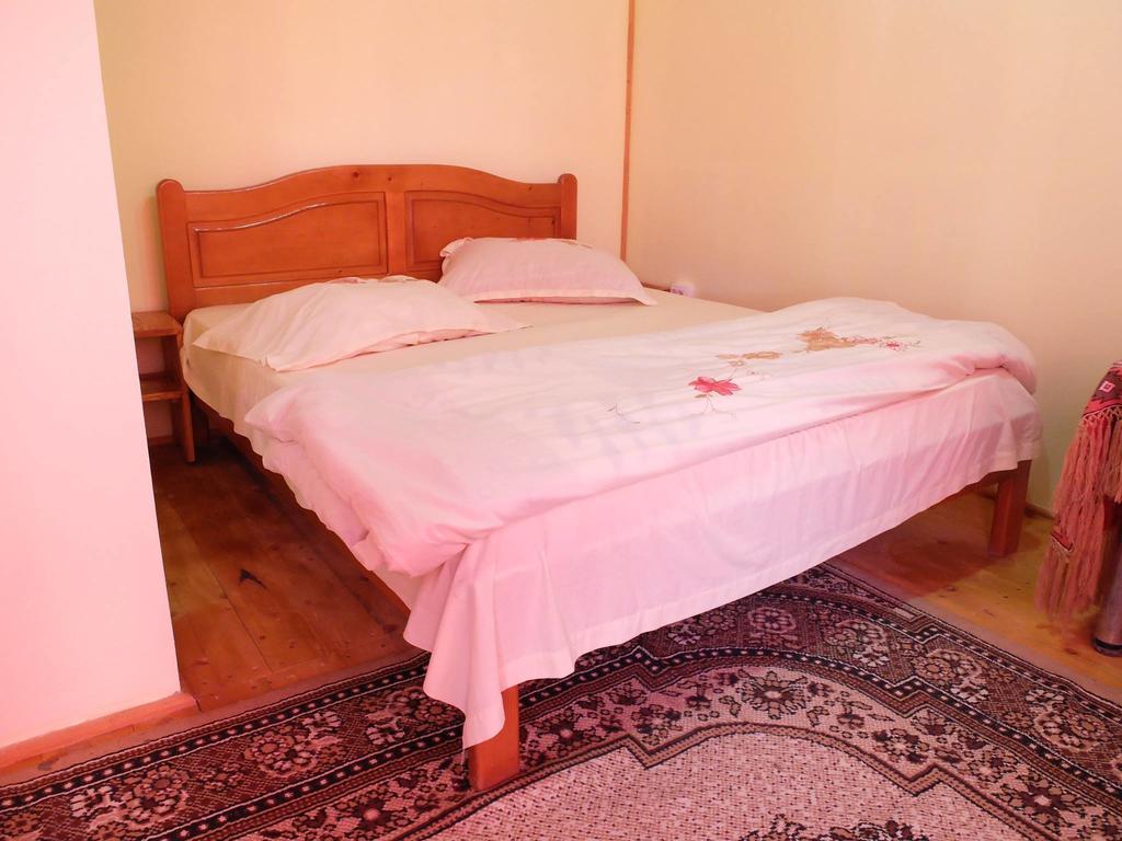 Pension Ioana Lavita Vadu Izei Esterno foto