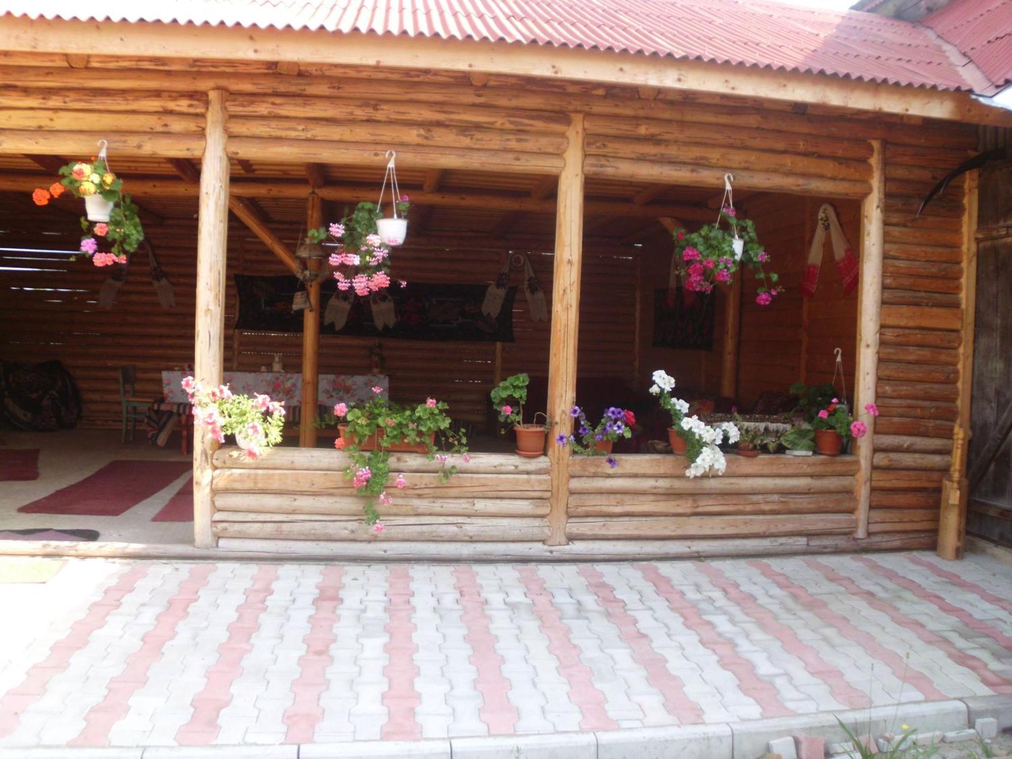 Pension Ioana Lavita Vadu Izei Esterno foto