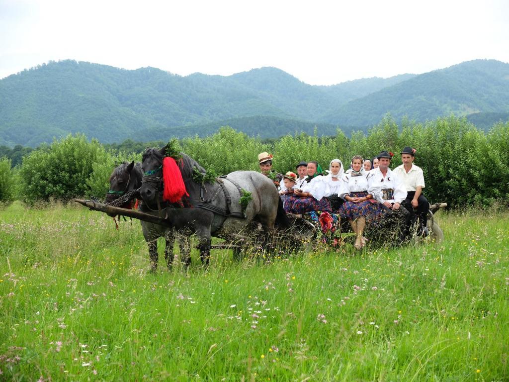 Pension Ioana Lavita Vadu Izei Esterno foto