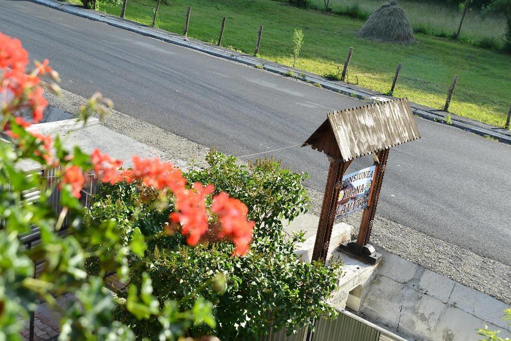 Pension Ioana Lavita Vadu Izei Esterno foto